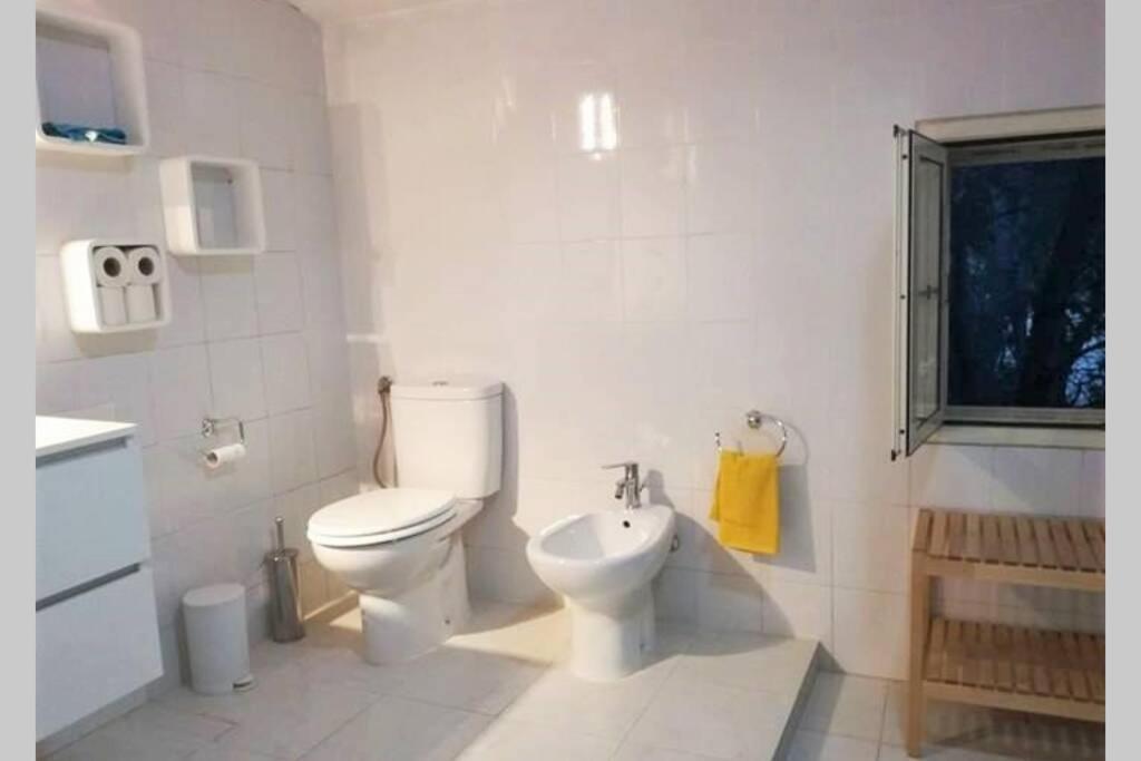 Big Relax Apartment With Swimming Pool And A Peaceful Garden In A Private Villa Sestu Exterior photo