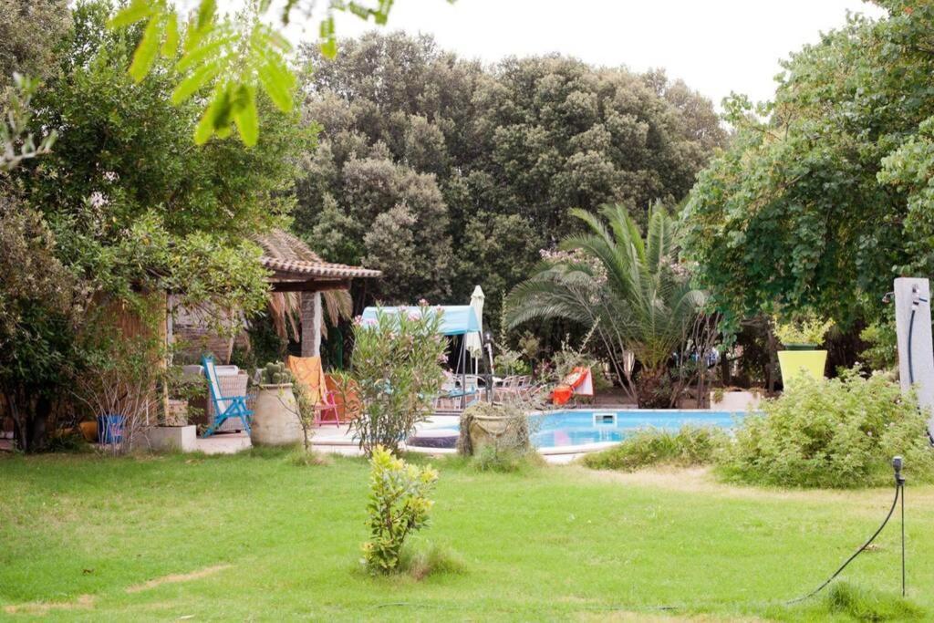 Big Relax Apartment With Swimming Pool And A Peaceful Garden In A Private Villa Sestu Exterior photo