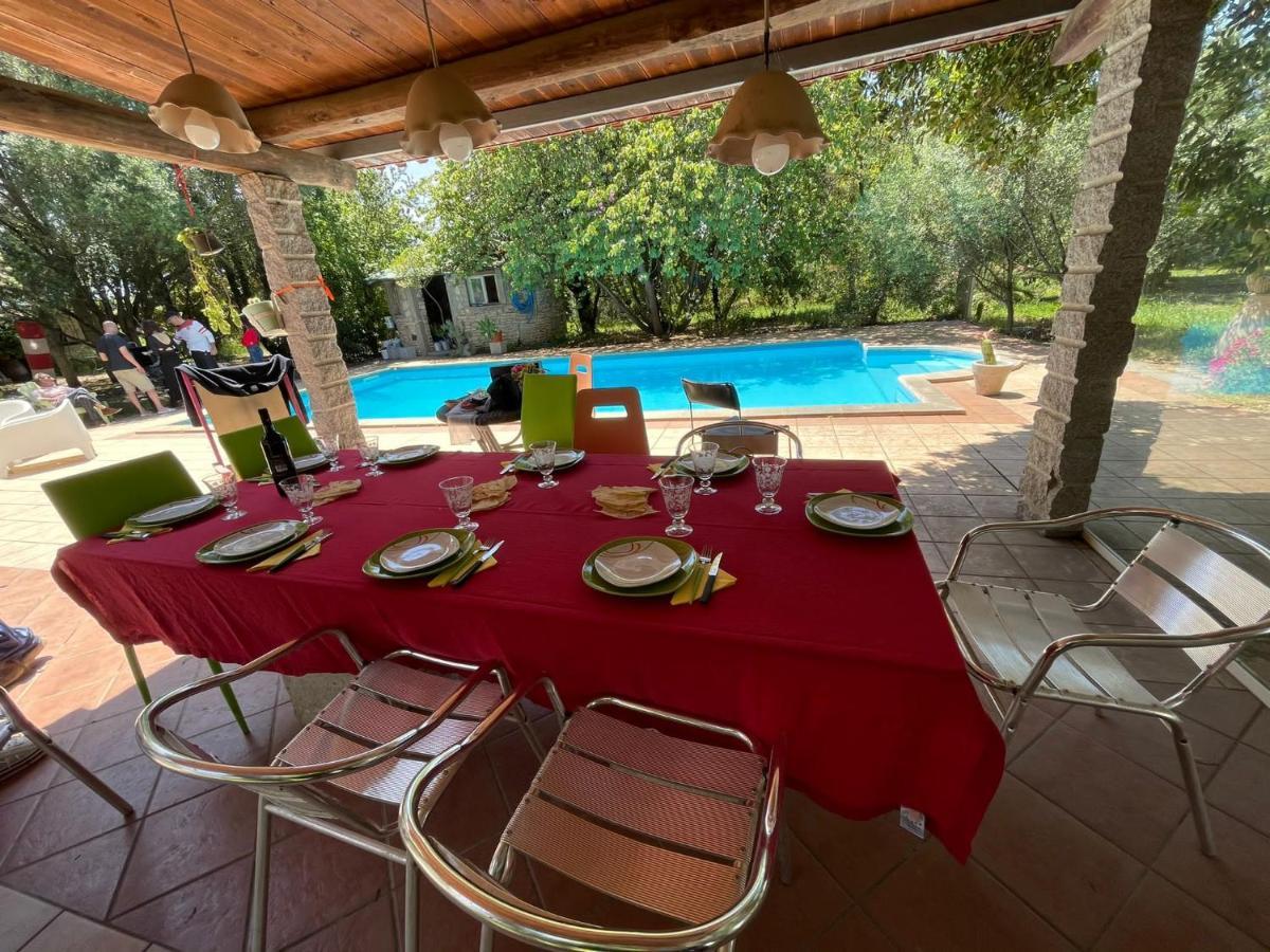 Big Relax Apartment With Swimming Pool And A Peaceful Garden In A Private Villa Sestu Exterior photo