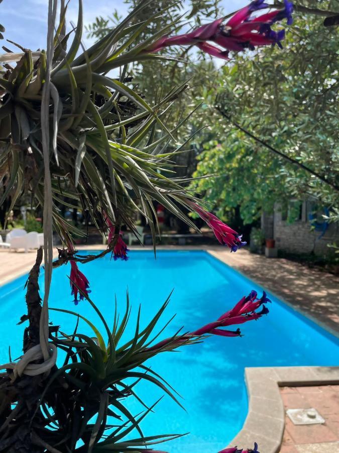 Big Relax Apartment With Swimming Pool And A Peaceful Garden In A Private Villa Sestu Exterior photo
